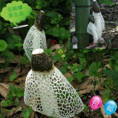 竹海竹荪干货50g天然无硫熏 特级 包邮 2014新鲜肉厚竹海特产