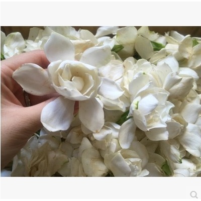 售完欣赏～ 栀子花纯露 美白保湿祛痘250ml 花期已过等明年